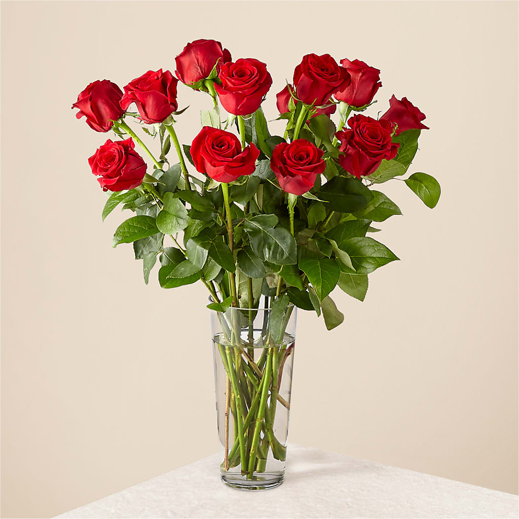 Long Stem Red Rose Bouquet – Love Blossoms, Easton PA