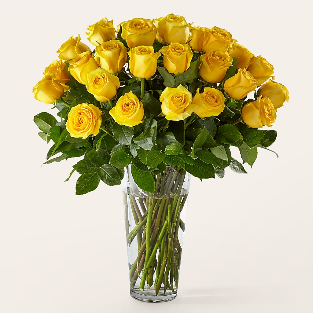 Long Stem Yellow Rose Bouquet – Love Blossoms, Easton PA