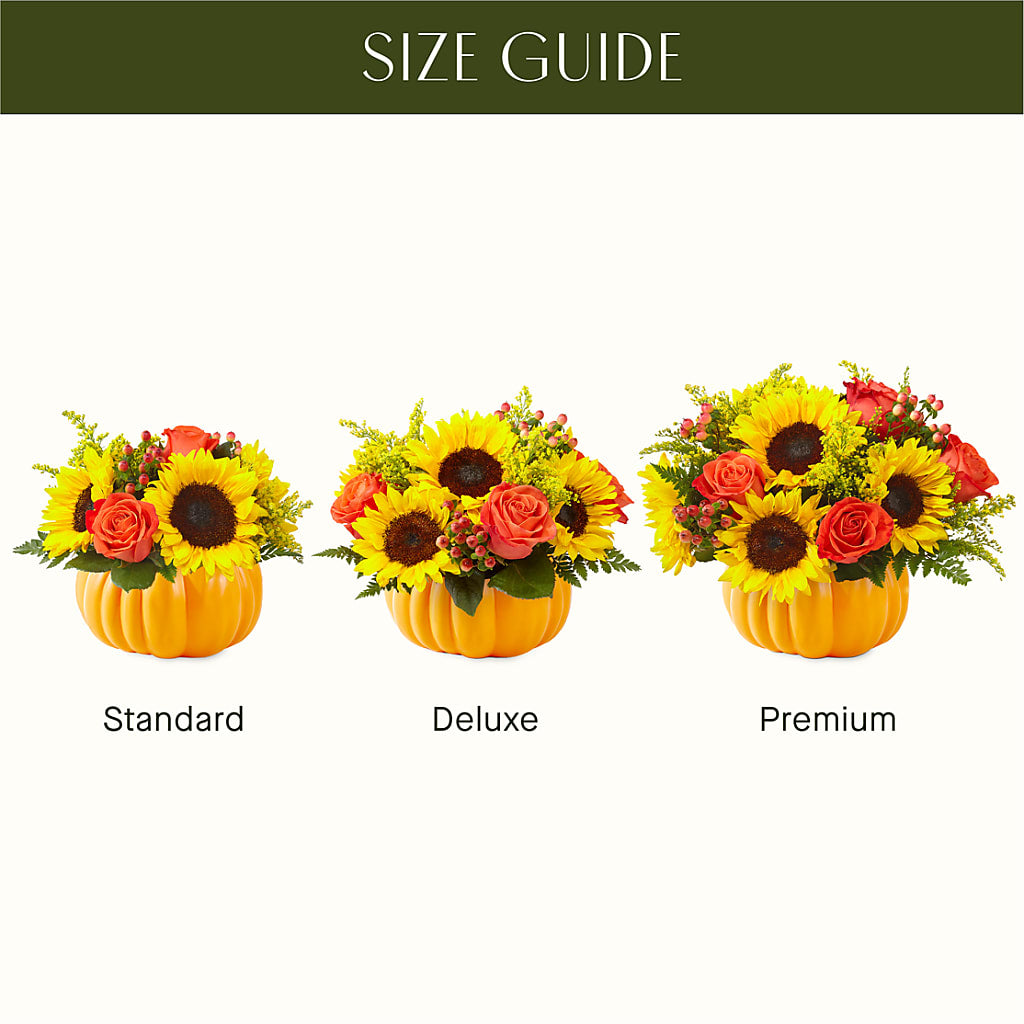 Pick of the Patch Pumpkin Bouquet – Love Blossoms, Easton PA