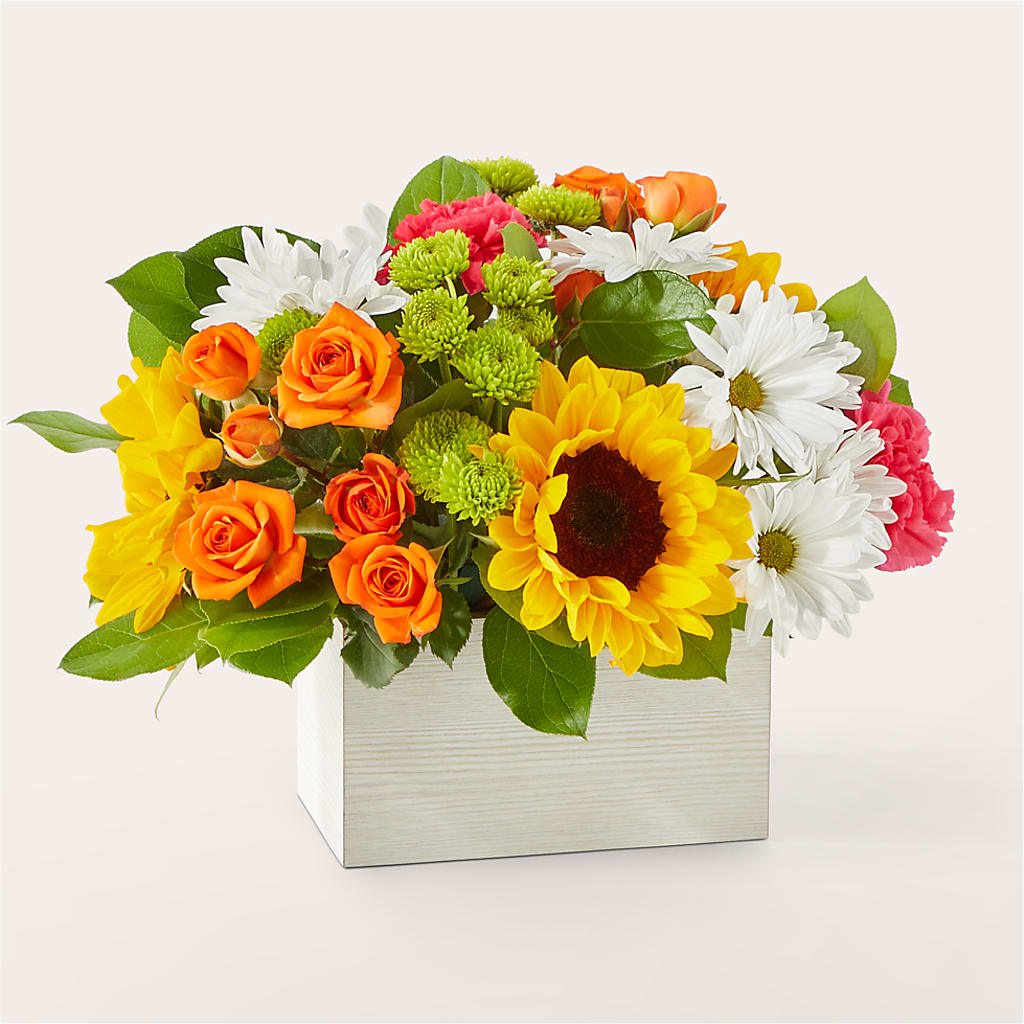 Sun-drenched Blooms Box Bouquet – Love Blossoms, Easton PA