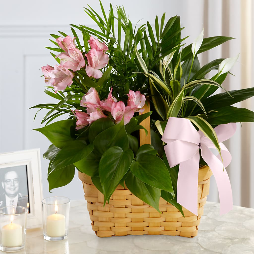 Living Spirit Dishgarden – Love Blossoms, Easton PA