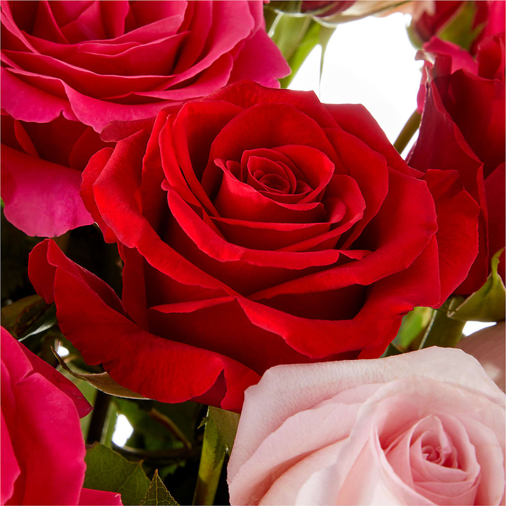 Love Notes Rose Bouquet – Love Blossoms, Easton PA