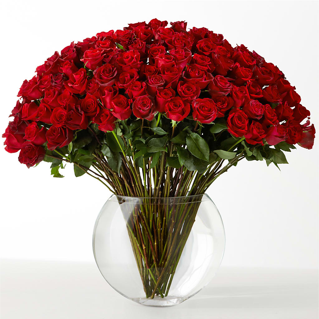 The Idealist – Love Blossoms, Easton PA
