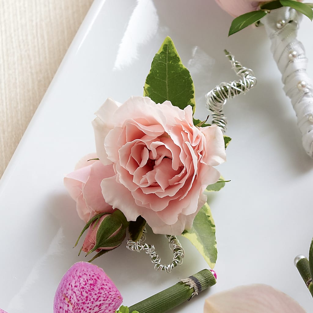 Pink Spray Rose Boutonniere – Love Blossoms, Easton PA