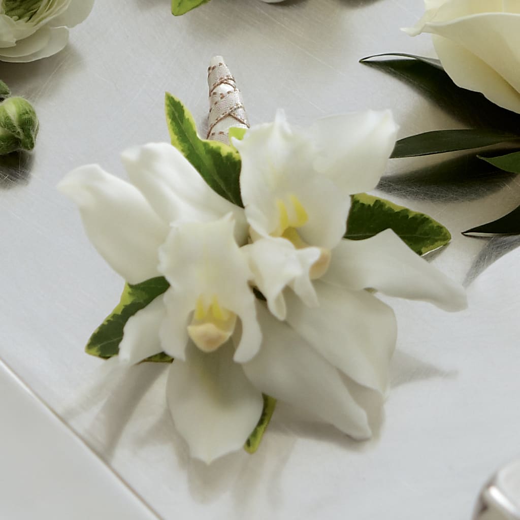White Mini Cymbidium Boutonniere – Love Blossoms, Easton PA