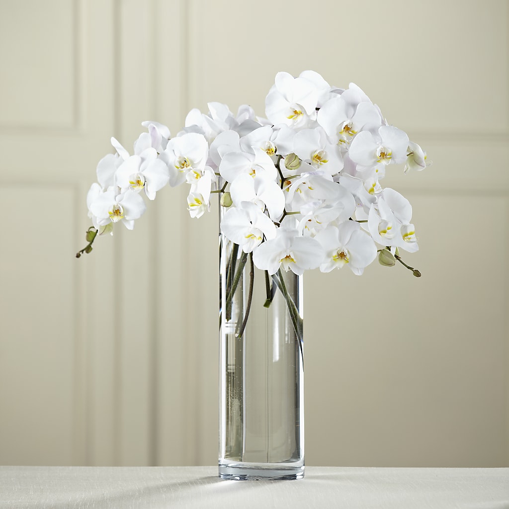 White Phalaenopsis Bouquet – Love Blossoms, Easton PA