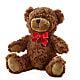 Adorable Plush Bear –  Love Blossoms, Easton PA