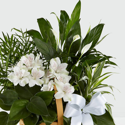 Peace & Serenity Dishgarden –  Love Blossoms, Easton PA