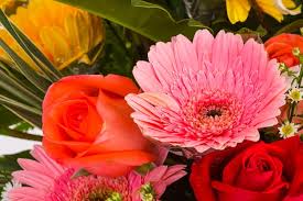 Casket Spray –  Love Blossoms, Easton PA