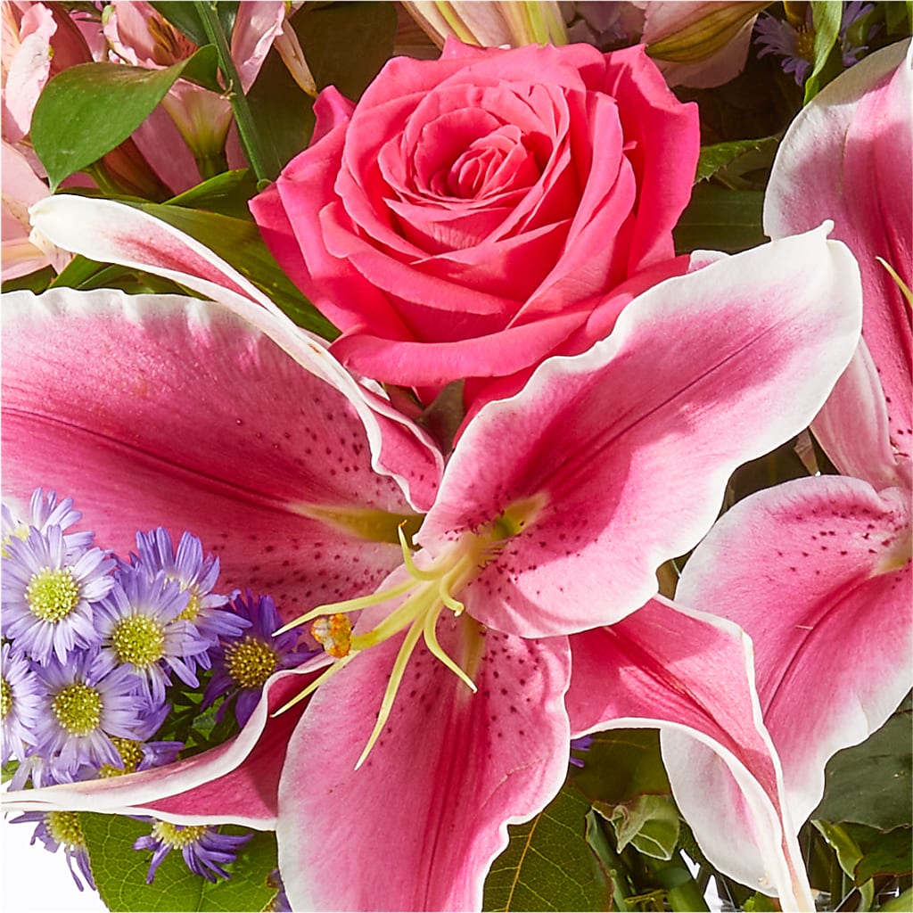 Written in the Stars Bouquet –  Love Blossoms, Easton PA