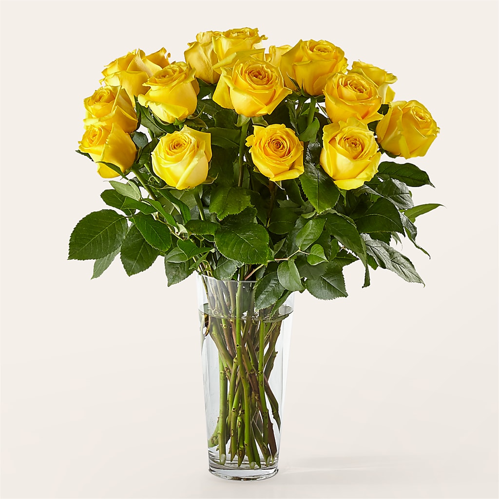 Long Stem Yellow Rose Bouquet –  Love Blossoms, Easton PA