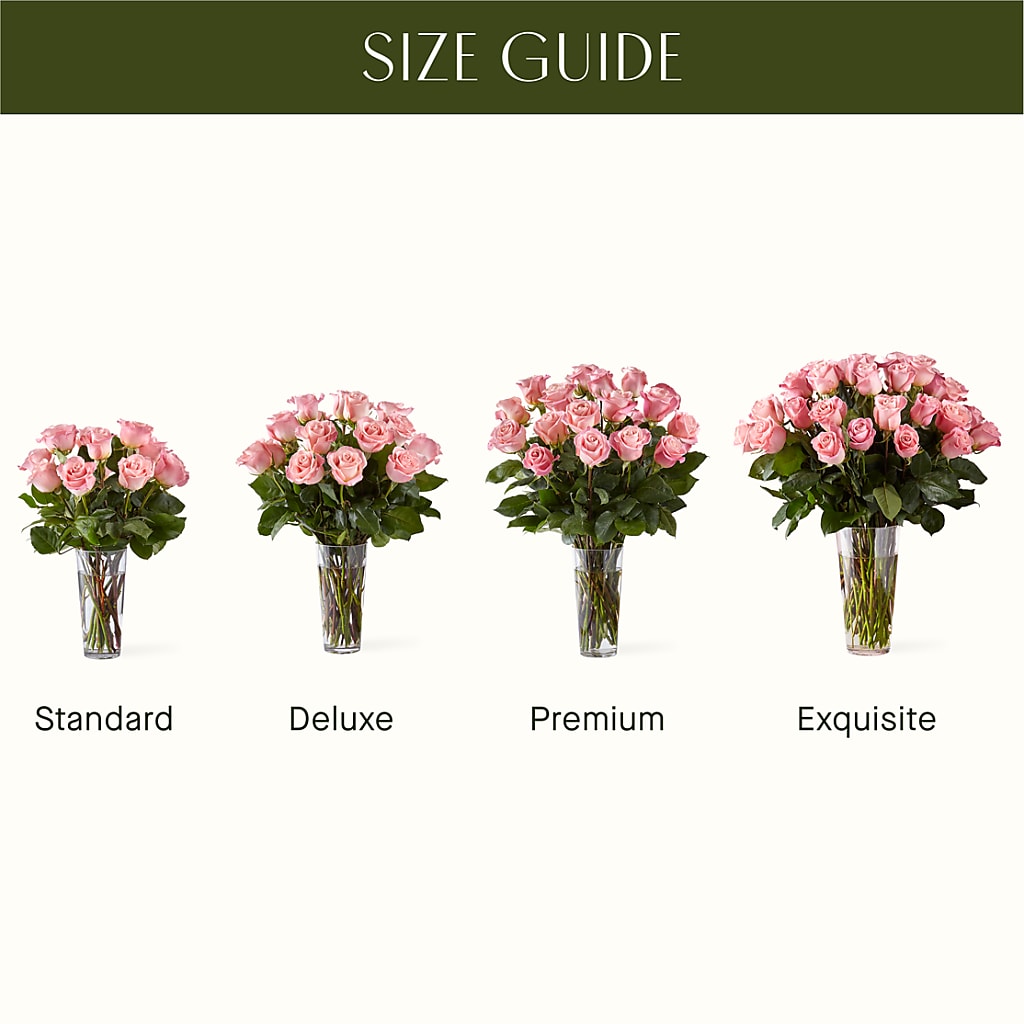 Long Stem Pink Rose Bouquet –  Love Blossoms, Easton PA