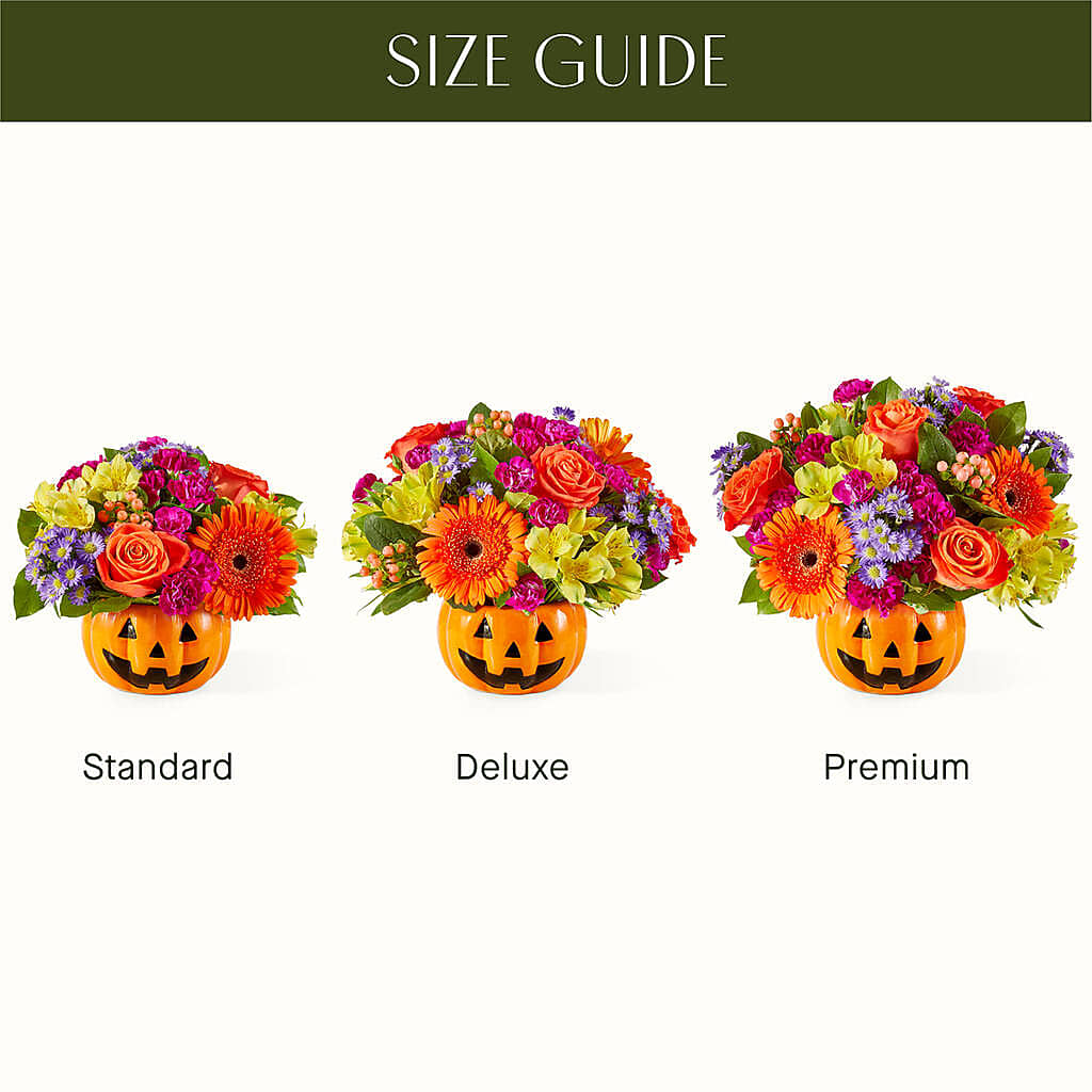 Tricks & Treats Pumpkin –  Love Blossoms, Easton PA