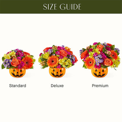 Tricks & Treats Pumpkin –  Love Blossoms, Easton PA