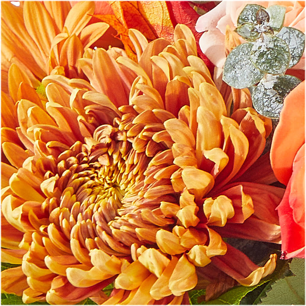 Scenic Route Bouquet –  Love Blossoms, Easton PA