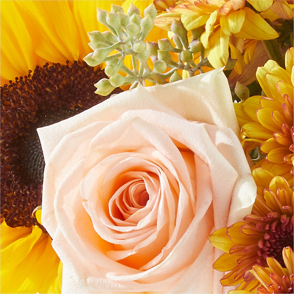 Pumpkin to Talk About Bouquet –  Love Blossoms, Easton PA