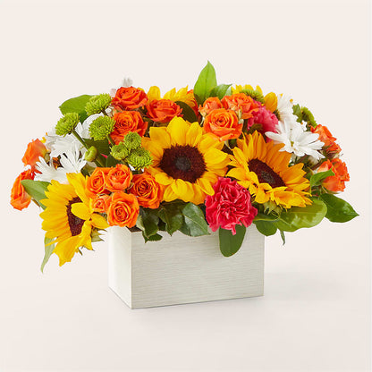 Sun-drenched Blooms Box Bouquet –  Love Blossoms, Easton PA