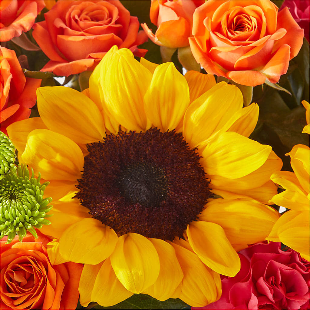 Sun-drenched Blooms Box Bouquet –  Love Blossoms, Easton PA