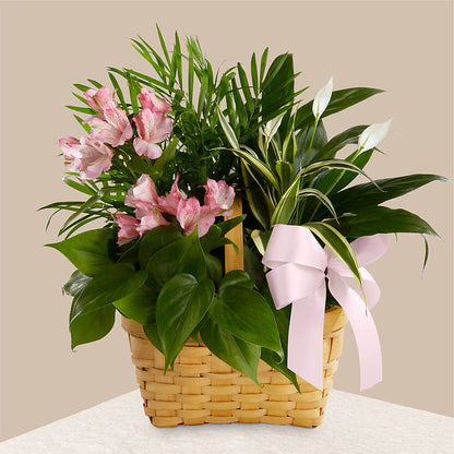 Living Spirit Dishgarden –  Love Blossoms, Easton PA