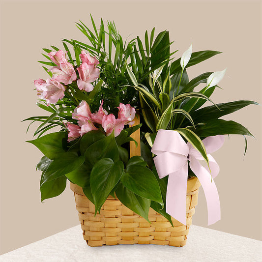 Living Spirit Dishgarden –  Love Blossoms, Easton PA