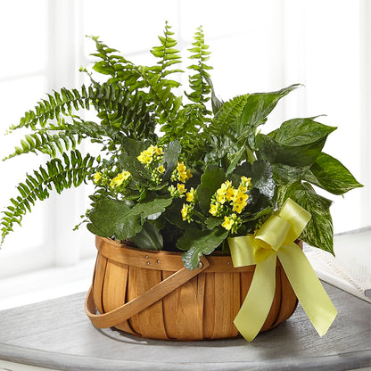 Always Dear Dishgarden –  Love Blossoms, Easton PA
