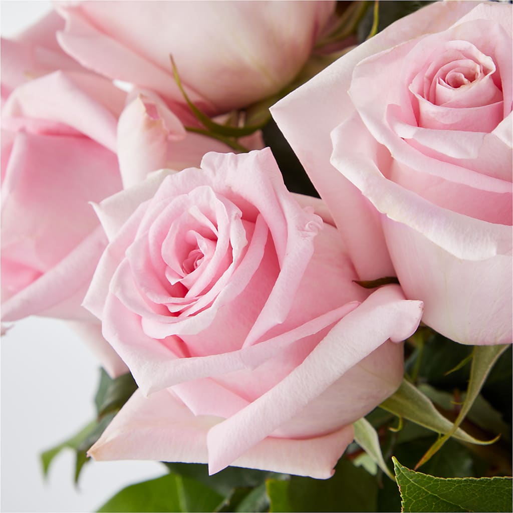 Picture Perfect Pink Rose Bouquet –  Love Blossoms, Easton PA
