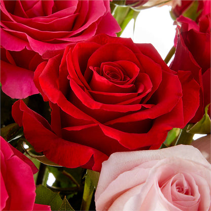 Love Notes Rose Bouquet –  Love Blossoms, Easton PA