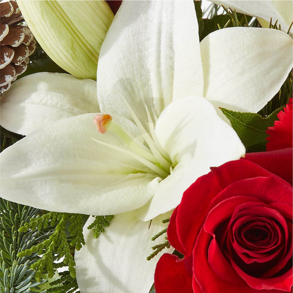Oh So Jolly Bouquet –  Love Blossoms, Easton PA