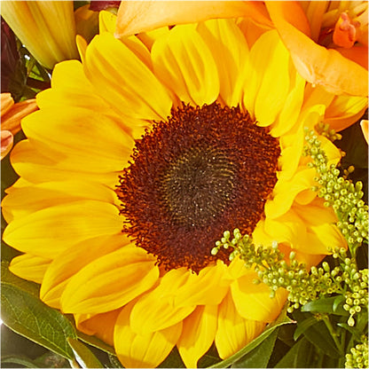 Seasons Change Bouquet –  Love Blossoms, Easton PA