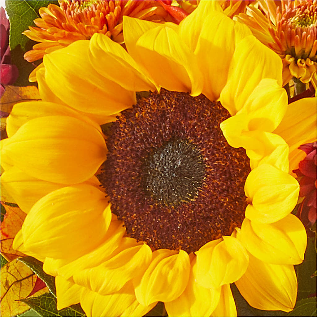 Sunny Side Bouquet –  Love Blossoms, Easton PA