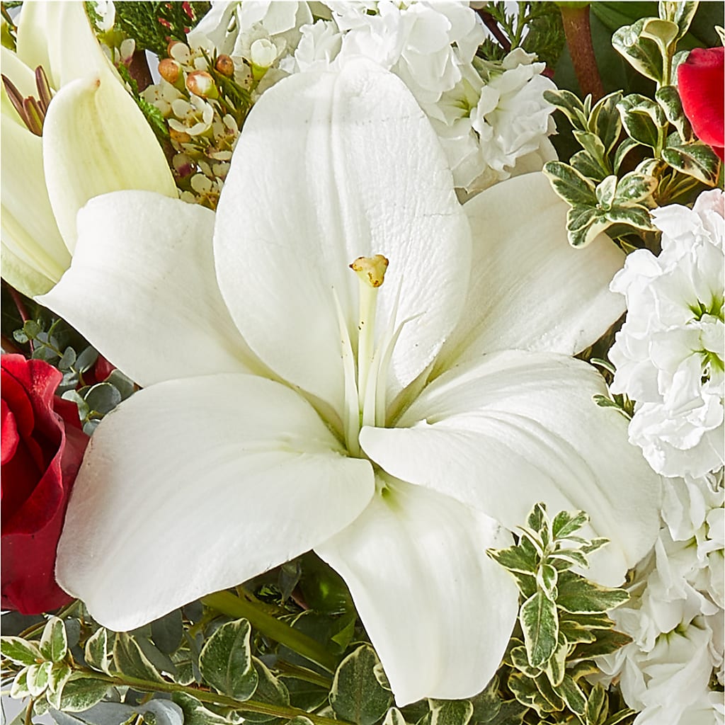 Twinkle Lights Bouquet –  Love Blossoms, Easton PA