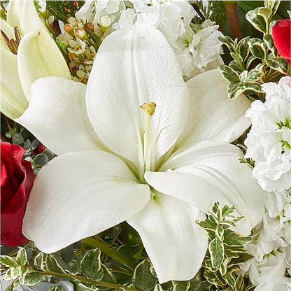 Twinkle Lights Bouquet –  Love Blossoms, Easton PA