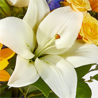 Wonderfully Sunny Bouquet –  Love Blossoms, Easton PA