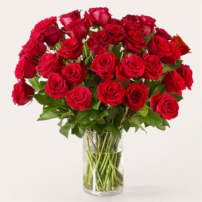 The One Red Rose Bouquet –  Love Blossoms, Easton PA