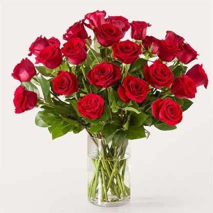 The One Red Rose Bouquet –  Love Blossoms, Easton PA