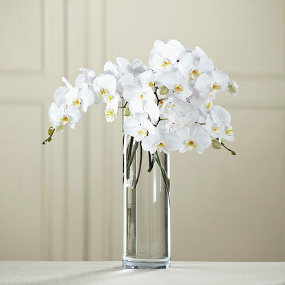 White Phalaenopsis Bouquet –  Love Blossoms, Easton PA